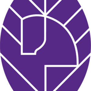 Only icon_large Only icon_large